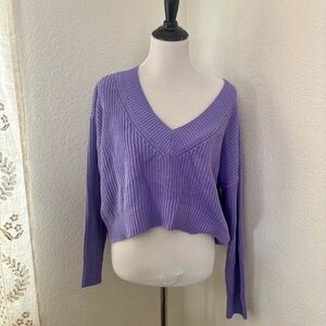 Forever 21 Purple V-Neck Sweater